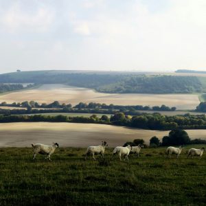 Touriste ou voyageur ?