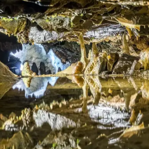 Marketing du tourisme culturel : le développement d&rsquo;un site culturel